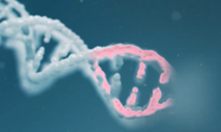 Detailní záběr na řetězec DNA, u kterého je zastaven proces replikace.